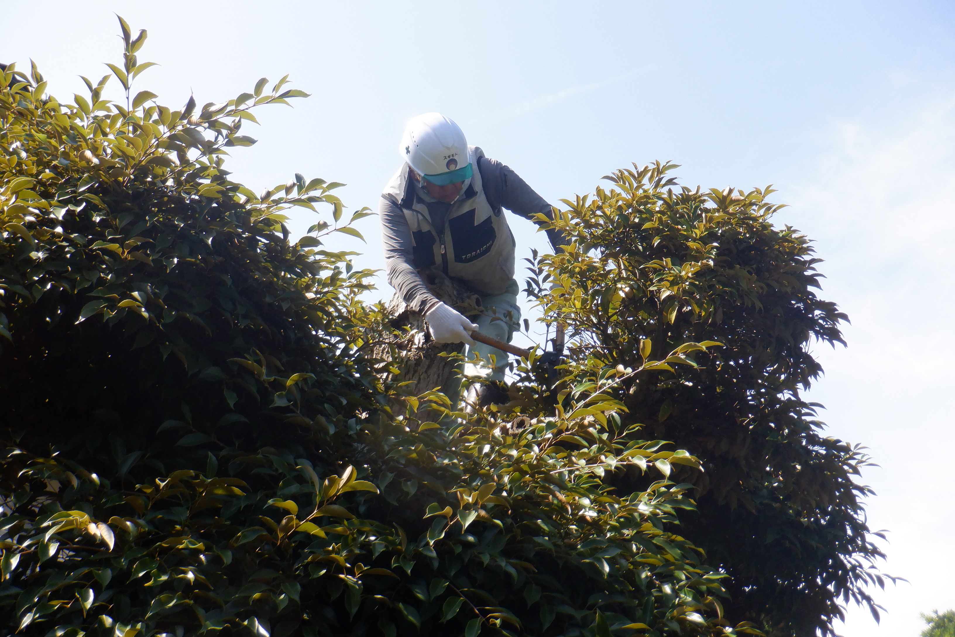 施工時の様子①